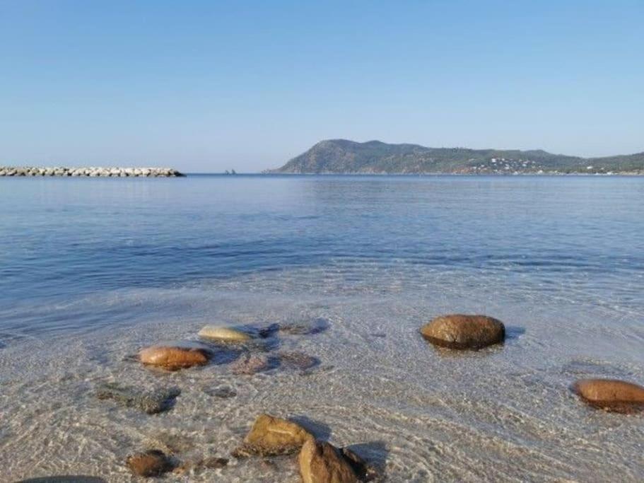 Charmant Studio Climatise 24 M2 Terrasse A 100M De La Plage Saint-Mandrier-sur-Mer Εξωτερικό φωτογραφία