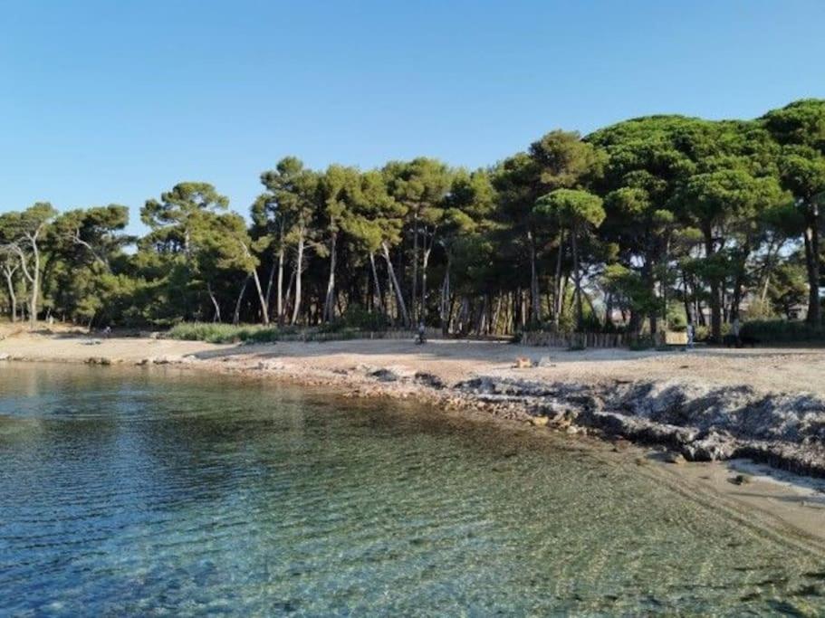 Charmant Studio Climatise 24 M2 Terrasse A 100M De La Plage Saint-Mandrier-sur-Mer Εξωτερικό φωτογραφία